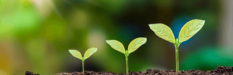 sustainabilit&eacute;