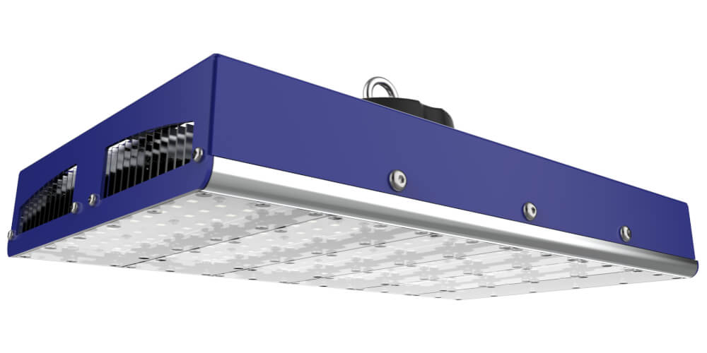 Campânula Dynamic 180