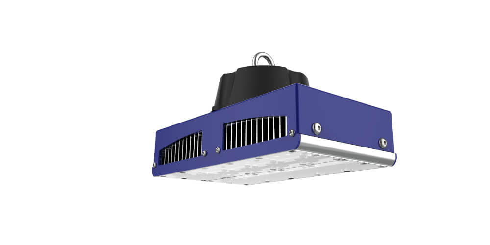 Campânula Dynamic 60